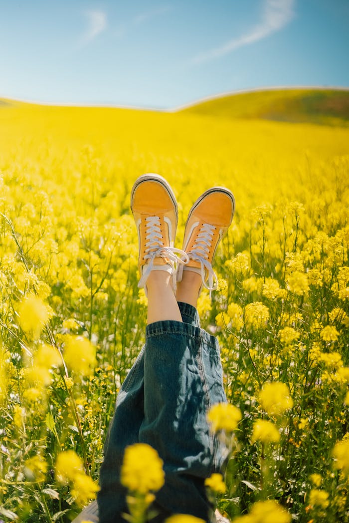 Person relaxing in a vibrant yellow flower field with legs raised, capturing the essence of spring in San Luis Obispo.