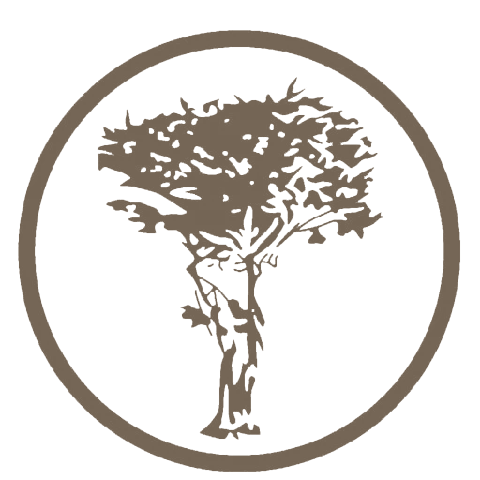 WILDWOOD WELLNESS & SOCIAL CLUB