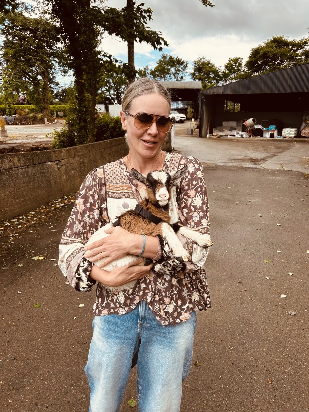 37f22a8c-1fff-4242-a737-c74388d00b62