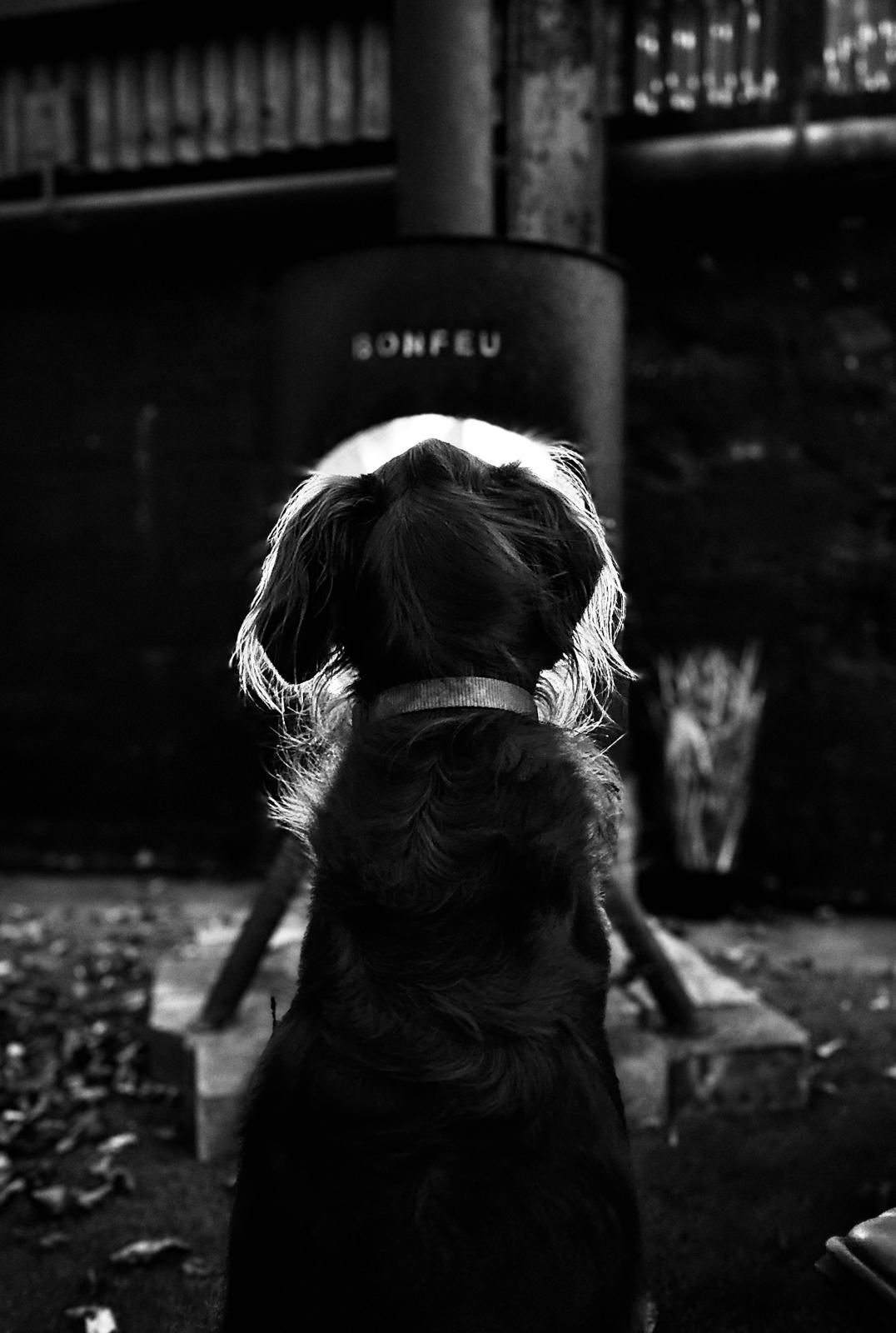 4772127c-5254-4384-a8d0-08cdf0cb590c